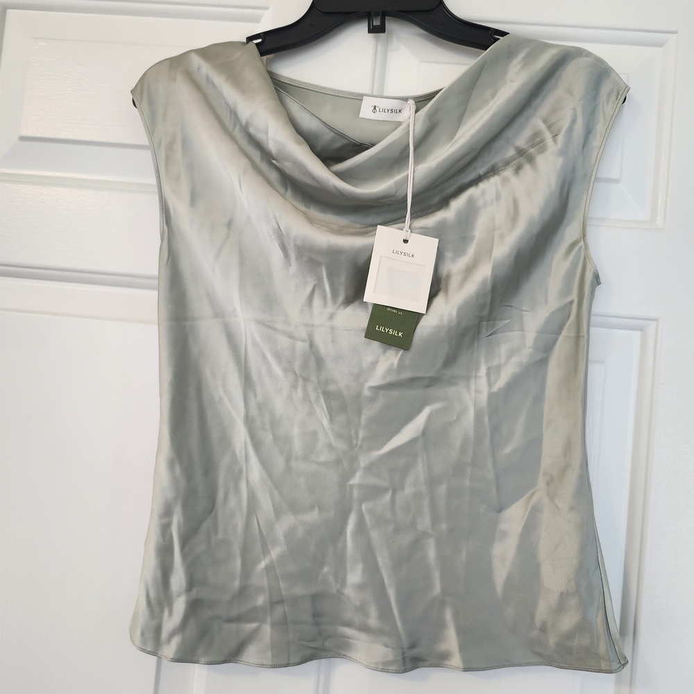 Silver Draped Cap Sleeve Blouse